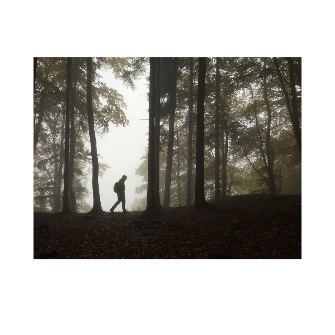 Ανώνυμο σχέδιο