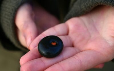 Από το συναίσθημα στη συμπεριφορά. Η αόρατη σύνδεση